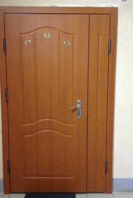 Тамбурная дверь с МДФ на лестничную площадку