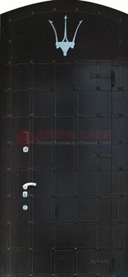 Металлическая арочная дверь ДА-22 высокого качества в Орехово-Зуево