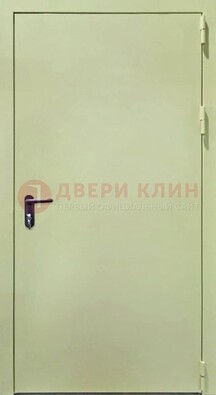 Светлая противопожарная дверь ДПП-22 в Орехово-Зуево