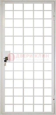 Белая металлическая решетчатая дверь ДР-2 в Орехово-Зуево