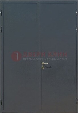 Двухстворчатая техническая дверь ДТ-5 в Орехово-Зуево