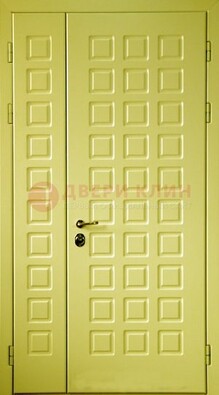Салатовая тамбурная дверь ДТМ-28 в Орехово-Зуево