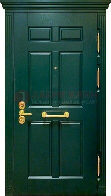 Классическая зеленая дверь с виноритом на улицу ДВТ-248 в Орехово-Зуево